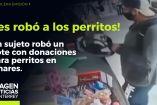 ¡Roba bote de donaciones para perritos en Linares!