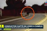 Captan en video a joven desaparecida en Texas