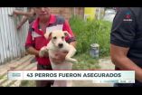 Un total de 43 caninos fueron rescatados por autoridades municipales de un domicilio ubicado en la Col. Residencial La Soledad, en San Pedro #Tlaquepaque, tras atenderse un reporte sobre las precarias condiciones e insalubridad en las que habitaban.

#NoticiasImagen

Síguenos en nuestras redes:

Instagram: https://www.instagram.com/imagentvgdl/
TikTok: https://www.tiktok.com/@imagennoticias
Twitter: https://twitter.com/ImagenTVGDL
Facebook: https://www.facebook.com/ImagenTVGDL/
Visita nuestro sitio Web: https://www.imagentv.com/guadalajara

Mantente siempre informado con las noticias sobre los acontecimientos más importantes a nivel nacional con Carolina Martínez.

¡Déjanos tus comentarios, da like, comparte y suscríbete!