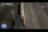 Una voluminosa rama de un árbol de eucalipto colapsó la noche anterior sobre un vehículo estacionado en el cruce de las calles Arco Alejandro y Arco Graciano, en la Col. Arcos de #Zapopan.

#NoticiasImagen

Síguenos en nuestras redes:

Instagram: https://www.instagram.com/imagentvgdl/
TikTok: https://www.tiktok.com/@imagennoticias
Twitter: https://twitter.com/ImagenTVGDL
Facebook: https://www.facebook.com/ImagenTVGDL/
Visita nuestro sitio Web: https://www.imagentv.com/guadalajara

Mantente siempre informado con las noticias sobre los acontecimientos más importantes a nivel nacional con Carolina Martínez.

¡Déjanos tus comentarios, da like, comparte y suscríbete!