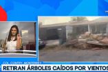 Retiran dos árboles caídos por las fuertes lluvias en Monterrey. 

No te pierdas Imagen Noticias Monterrey con Brenda Cavazos de lunes a viernes por Imagen Televisión Monterrey.

Síguenos en nuestras redes
Instagram: https://www.instagram.com/imagentvmonterrey/
Twitter: https://twitter.com/ImagenTVMTY
Facebook: https://www.facebook.com/ImagenTVMTY/

Mantente siempre informado con las noticias sobre los acontecimientos más importantes a nivel nacional con Claudia Ovalle y Brenda Cavazos.


¡Dale like y suscríbete!