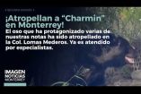 El famoso oso Charmin fue atropellado por un suejto que iba a presunto exceso de velocidad en Monterrey. 


 No te pierdas Imagen Noticias Monterrey con Claudia Ovalle de lunes a viernes por Imagen Televisión Monterrey.
 
Síguenos en nuestras redes
Instagram: https://www.instagram.com/imagentvmonterrey/
Twitter: https://twitter.com/ImagenTVMTY
Facebook: https://www.facebook.com/ImagenTVMTY/

Mantente siempre informado con las noticias sobre los acontecimientos más importantes a nivel nacional con Claudia Ovalle y Brenda Cavazos.


¡Dale like y suscríbete!