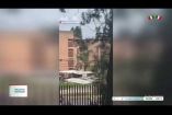 Cuatro sujetos armados protagonizaron una balacera afuera de la Escuela Preparatoria No. 6 de la Universidad de Guadalajara, ubicada sobre la calle Literatura en Miravalle, #Tlaquepaque.

#NoticiasImagen

Síguenos en nuestras redes:

Instagram: https://www.instagram.com/imagentvgdl/
TikTok: https://www.tiktok.com/@imagennoticias
Twitter: https://twitter.com/ImagenTVGDL
Facebook: https://www.facebook.com/ImagenTVGDL/
Visita nuestro sitio Web: https://www.imagentv.com/guadalajara

Mantente siempre informado con las noticias sobre los acontecimientos más importantes a nivel nacional con Carolina Martínez.

¡Déjanos tus comentarios, da like, comparte y suscríbete!