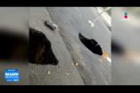 Un comerciante de la tercera edad cayó accidentalmente dentro de un socavón mientras transitaba en su triciclo de venta de frituras sobre la calle Santa Clemencia, entre las calles 52 y 54, en el municipio de #Guadalajara.

#NoticiasImagen

Síguenos en nuestras redes:

Instagram: https://www.instagram.com/imagentvgdl/
TikTok: https://www.tiktok.com/@imagennoticias
Twitter: https://twitter.com/ImagenTVGDL
Facebook: https://www.facebook.com/ImagenTVGDL/
Visita nuestro sitio Web: https://www.imagentv.com/guadalajara

Mantente siempre informado con las noticias sobre los acontecimientos más importantes a nivel nacional con Erick Breguer.

¡Déjanos tus comentarios, da like, comparte y suscríbete!