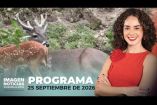 No te pierdas Imagen Noticias Guadalajara con Carolina Martínez de lunes a viernes en punto de las 2:30 p.m. en el 3.1 por Imagen Televisión Guadalajara.

#NoticiasImagen

Síguenos en nuestras redes:
Instagram: https://www.instagram.com/imagentvgdl/
TikTok: https://www.tiktok.com/@imagennoticias
Twitter: https://twitter.com/ImagenTVGDL
Facebook: https://www.facebook.com/ImagenTVGDL/

Visita nuestro sitio Web: https://www.imagentv.com/guadalajara

Mantente siempre informado con las noticias sobre los acontecimientos más importantes a nivel nacional con Erick Breguer, Carolina Martínez y Ricardo Camarena.

¡Déjanos tus comentarios, da like, comparte y suscríbete!