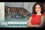 No te pierdas Imagen Noticias Guadalajara con Carolina Martínez de lunes a viernes en punto de las 2:30 p.m. en el 3.1 por Imagen Televisión Guadalajara.

#NoticiasImagen

Síguenos en nuestras redes:
Instagram: https://www.instagram.com/imagentvgdl/
TikTok: https://www.tiktok.com/@imagennoticias
Twitter: https://twitter.com/ImagenTVGDL
Facebook: https://www.facebook.com/ImagenTVGDL/

Visita nuestro sitio Web: https://www.imagentv.com/guadalajara

Mantente siempre informado con las noticias sobre los acontecimientos más importantes a nivel nacional con Erick Breguer, Carolina Martínez y Ricardo Camarena.

¡Déjanos tus comentarios, da like, comparte y suscríbete!