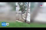 La Unidad Estatal de Protección Civil y Bomberos de #Jalisco determinó mantener la bandera roja en las playas tanto de la Costa Norte como de la Costa Sur del estado debido al incremento en la altura del oleaje derivado de condiciones meteorológicas adversas.

#NoticiasImagen

Síguenos en nuestras redes:

Instagram: https://www.instagram.com/imagentvgdl/
TikTok: https://www.tiktok.com/@imagennoticias
Twitter: https://twitter.com/ImagenTVGDL
Facebook: https://www.facebook.com/ImagenTVGDL/
Visita nuestro sitio Web: https://www.imagentv.com/guadalajara

Mantente siempre informado con las noticias sobre los acontecimientos más importantes a nivel nacional con Erick Breguer.

¡Déjanos tus comentarios, da like, comparte y suscríbete!