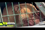A dos meses del ataque de Canelo, un perro de raza pitbull, María Guadalupe, de 67 años, continúa hospitalizada. Ha recibido 13 cirugías y su familia asegura que necesita apoyo psicológico y económico, pues no ha recibido la ayuda prometida por el dueño.