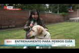 "Tenemos un riesgo de cierre debido a la disminución de donativos, por ello implementamos esta campaña en gofundme para que nos ayuden a que la institución permanezca y siga donando perros guía a personas ciegas".