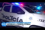 Un sujeto atacó y mató a puñaladas a una perrita de raza Pitbull sobre la calle Barra de Navidad, en la Col. Canal 58 de San Pedro #Tlaquepaque.

#NoticiasImagen

Síguenos en nuestras redes:

Instagram: https://www.instagram.com/imagentvgdl/
TikTok: https://www.tiktok.com/@imagennoticias
Twitter: https://twitter.com/ImagenTVGDL
Facebook: https://www.facebook.com/ImagenTVGDL/
Visita nuestro sitio Web: https://www.imagentv.com/guadalajara

Mantente siempre informado con las noticias sobre los acontecimientos más importantes a nivel nacional con Erick Breguer.

¡Déjanos tus comentarios, da like, comparte y suscríbete!