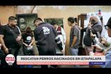 Autoridades rescataron a decenas de perros que vivían hacinados en una casa de Iztapalapa, luego de que vecinos denunciaran las condiciones en las que se encontraban.