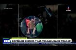 Un tráiler que transportaba cerditos en la Puebla-Orizaba volcó luego de que el conductor perdiera el control de la unidad, provocando una rapiña por parte de los pobladores y automovilistas. 

#NoticiasImagen #LoDijoZea #ImagenNoticias 

Visita nuestro sitio web: http://www.imagentv.com

No te pierdas Imagen Noticias con Francisco Zea de lunes a viernes en punto de las 6:30 am por Imagen Televisión.

TikTok: https://www.tiktok.com/@imagennoticias

Instagram Imagen Noticias con Francisco Zea: https://www.instagram.com/imagenzea 
Instagram: https://www.instagram.com/imagentvnoticias/

X Imagen Noticias con Francisco Zea: https://x.com/imagenZea 
X Noticias: https://twitter.com/ImagenNoticias_
X Televisión: https://twitter.com/ImagenTVMex 
 
Facebook Imagen Noticias con Francisco Zea: https://www.facebook.com/ImagenZea/ 
Facebook: https://www.facebook.com/ImagenTVNoticias
 
Aquí encontrarás la mejor información nacional e internacional de Imagen Noticias con Francisco Zea, Nacho Lozano, Crystal Mendivil, Enrique Sánchez y Paola Rojas.