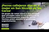 Una feroz jauría atacó a una mujer en San Nicolás de los Garza. 

No te pierdas Imagen Noticias #Monterrey con #BrisseidaMoya de lunes a viernes por Imagen Televisión Monterrey.

Síguenos en nuestras redes
Instagram: https://www.instagram.com/imagentvmonterrey/
Twitter: https://twitter.com/ImagenTVMTY
Facebook: https://www.facebook.com/ImagenTVMTY/

Mantente siempre informado con las noticias sobre los acontecimientos más importantes a nivel nacional con Claudia Ovalle y Brenda Cavazos.


¡Dale like y suscríbete!