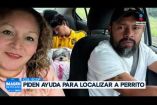 Una perrito con enfermedad en el oído se escapó en Guadalupe. 

No te pierdas Imagen Noticias Monterrey con Brenda Cavazos de lunes a viernes por Imagen Televisión Monterrey.

Síguenos en nuestras redes
Instagram: https://www.instagram.com/imagentvmonterrey/
Twitter: https://twitter.com/ImagenTVMTY
Facebook: https://www.facebook.com/ImagenTVMTY/

Mantente siempre informado con las noticias sobre los acontecimientos más importantes a nivel nacional con Claudia Ovalle y Brenda Cavazos.


¡Dale like y suscríbete!
