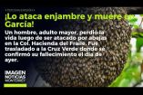 Un enjambre atacó y mató a un hombre en García. 

No te pierdas Imagen Noticias #Monterrey con #BrisseidaMoya de lunes a viernes por Imagen Televisión Monterrey.

Síguenos en nuestras redes
Instagram: https://www.instagram.com/imagentvmonterrey/
Twitter: https://twitter.com/ImagenTVMTY
Facebook: https://www.facebook.com/ImagenTVMTY/

Mantente siempre informado con las noticias sobre los acontecimientos más importantes a nivel nacional con Claudia Ovalle y Brenda Cavazos.


¡Dale like y suscríbete!