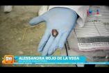 Al menos cinco perros sufrieron envenenamiento el martes tras ingerir una de estas pastillas color azul dentro de pedazos de embutido en Parque España de la Col. Condesa, tres de ellos fallecieron el mismo día y dos más siguen internados en un hospital veterinario.   

#NoticiasImagen #ImagenNoticias530 

Visita nuestro sitio web: http://www.imagentv.com

No te pierdas Imagen Noticias 5:30 con Marlene Stahl, Nuria Gil y Adriana Treviño de lunes a viernes por Imagen Televisión.

TikTok 5:30: https://www.tiktok.com/@imagennoticias530 
TikTok Noticias: https://www.tiktok.com/@imagennoticias

Instagram 5:30: https://www.instagram.com/imagennoticias530 
Instagram Noticias: https://www.instagram.com/imagentvnoticias/

X 5:30: https://x.com/imagen530 
X Noticias: https://twitter.com/ImagenNoticias_
X Televisión: https://twitter.com/ImagenTVMex
 
Facebook Noticias: https://www.facebook.com/ImagenTVNoticias
 
Aquí encontrarás la mejor información nacional e internacional de Imagen Noticias con Francisco Zea, Nacho Lozano, Crystal Mendivil, Enrique Sánchez y Paola Rojas.