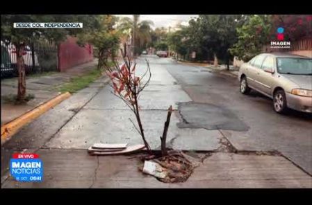 Vecinos de la Col. Independencia, en #Guadalajara, reportan un socavón de consideración sobre la calle Monte Jura, en su cruce con Siete Colinas. Ante la falta de señalización oficial y el riesgo constante de accidentes por los vehículos estacionados en la zona, colonos colocaron ramas como advertencia para los automovilistas.