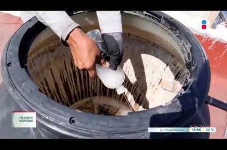 Especialistas recomiendan a la población realizar mantenimiento, lavado y desinfección profunda a tinacos y cisternas para evitar la acumulación de sedimentos, minerales y contaminantes provenientes de la red de distribución.

#NoticiasImagen

Síguenos en nuestras redes:

Instagram: https://www.instagram.com/imagentvgdl/
TikTok: https://www.tiktok.com/@imagennoticias
Twitter: https://twitter.com/ImagenTVGDL
Facebook: https://www.facebook.com/ImagenTVGDL/
Visita nuestro sitio Web: https://www.imagentv.com/guadalajara

Mantente siempre informado con las noticias sobre los acontecimientos más importantes a nivel nacional con Carolina Martínez.

¡Déjanos tus comentarios, da like, comparte y suscríbete!