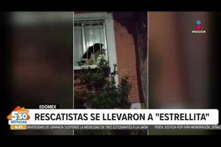 "Estrellita" fue rescatada de una vivienda en Tlalnepantla, Estado de México, tras denuncias de presunto maltrato, rescatistas aseguran que las autoridades no actuaron a tiempo, ¿qué dicen las investigaciones? 

#NoticiasImagen #ImagenNoticias530 Visita nuestro sitio web: http://www.imagentv.com

No te pierdas Imagen Noticias 5:30 con Marlene Stahl, Nuria Gil y Adriana Treviño de lunes a viernes por Imagen Televisión.

TikTok 5:30: https://www.tiktok.com/@imagennoticias530 
TikTok Noticias: https://www.tiktok.com/@imagennoticias

Instagram 5:30: https://www.instagram.com/imagennoticias530 
Instagram Noticias: https://www.instagram.com/imagentvnoticias/

X 5:30: https://x.com/imagen530 
X Noticias: https://twitter.com/ImagenNoticias_
X Televisión: https://twitter.com/ImagenTVMex
 
Facebook Noticias: https://www.facebook.com/ImagenTVNoticias
 
Aquí encontrarás la mejor información nacional e internacional de Imagen Noticias con Francisco Zea, Nacho Lozano, Crystal Mendivil, Enrique Sánchez y Paola Rojas.