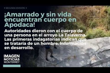 Amarrado y sin vida encuentran cuerpo en Apodaca. Presenta signos de violencia. 

 No te pierdas Imagen Noticias Monterrey con Claudia Ovalle de lunes a viernes por Imagen Televisión Monterrey.
 
Síguenos en nuestras redes
Instagram: https://www.instagram.com/imagentvmonterrey/
Twitter: https://twitter.com/ImagenTVMTY
Facebook: https://www.facebook.com/ImagenTVMTY/

Mantente siempre informado con las noticias sobre los acontecimientos más importantes a nivel nacional con Claudia Ovalle y Brenda Cavazos.


¡Dale like y suscríbete!