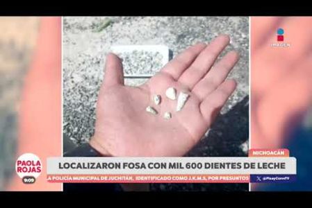 En Michoacán, madres buscadoras localizaron más de mil dientes de leche durante una búsqueda en una fosa clandestina.