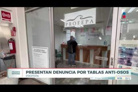 Activista presenta denuncia en la Profepa por las trampas anti-osos repartidas en San Pedro Garza García. 

 No te pierdas Imagen Noticias Monterrey con Claudia Ovalle de lunes a viernes por Imagen Televisión Monterrey.
 
Síguenos en nuestras redes
Instagram: https://www.instagram.com/imagentvmonterrey/
Twitter: https://twitter.com/ImagenTVMTY
Facebook: https://www.facebook.com/ImagenTVMTY/

Mantente siempre informado con las noticias sobre los acontecimientos más importantes a nivel nacional con Claudia Ovalle y Brenda Cavazos.


¡Dale like y suscríbete!