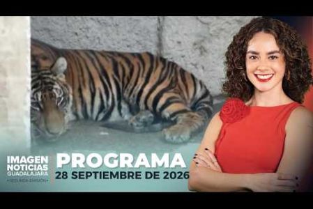 No te pierdas Imagen Noticias Guadalajara con Carolina Martínez de lunes a viernes en punto de las 2:30 p.m. en el 3.1 por Imagen Televisión Guadalajara.

#NoticiasImagen

Síguenos en nuestras redes:
Instagram: https://www.instagram.com/imagentvgdl/
TikTok: https://www.tiktok.com/@imagennoticias
Twitter: https://twitter.com/ImagenTVGDL
Facebook: https://www.facebook.com/ImagenTVGDL/

Visita nuestro sitio Web: https://www.imagentv.com/guadalajara

Mantente siempre informado con las noticias sobre los acontecimientos más importantes a nivel nacional con Erick Breguer, Carolina Martínez y Ricardo Camarena.

¡Déjanos tus comentarios, da like, comparte y suscríbete!