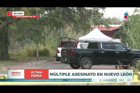 Asesinó a su pareja y a sus dos hijos.