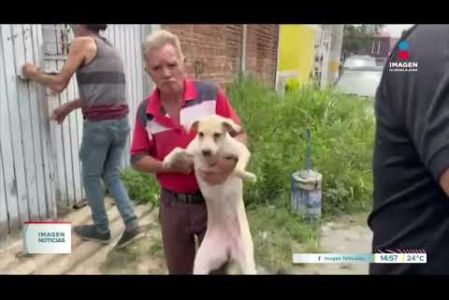 La acumulación de mascotas en viviendas particulares representa un problema de salud pública y bienestar animal conocido como el "Síndrome del Arca de Noé".

#NoticiasImagen

Síguenos en nuestras redes:

Instagram: https://www.instagram.com/imagentvgdl/
TikTok: https://www.tiktok.com/@imagennoticias
Twitter: https://twitter.com/ImagenTVGDL
Facebook: https://www.facebook.com/ImagenTVGDL/
Visita nuestro sitio Web: https://www.imagentv.com/guadalajara

Mantente siempre informado con las noticias sobre los acontecimientos más importantes a nivel nacional con Carolina Martínez.

¡Déjanos tus comentarios, da like, comparte y suscríbete!