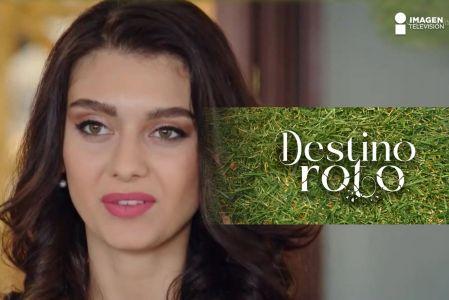 ¿Podría una propuesta de matrimonio inesperada en un lugar mágico cambiarlo todo? Descubre un viaje lleno de sorpresas, generosidad y decisiones difíciles.<br /><br />Fidan recibe una generosa sorpresa de Meyat que la deja asombrada, pero el camino hacia su futuro juntos no estará exento de obstáculos. Mientras tanto, un plan siniestro se pone en marcha, amenazando con desmoronar vidas y desatar el caos.<br /><br />Acompáñanos en esta emocionante historia donde el amor, la confianza y las apariencias engañosas se entrelazan de maneras impactantes. ¿Podrán los personajes superar las pruebas que el destino les presenta?<br /><br />#DestinoRoto #AmorYTraicion #SorpresasQueCambianVidas