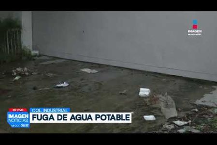 Reportan fuerte fuga de agua en la Col. Industrial en Monterrey. 

No te pierdas Imagen Noticias Monterrey con Brenda Cavazos de lunes a viernes por Imagen Televisión Monterrey.

Síguenos en nuestras redes
Instagram: https://www.instagram.com/imagentvmonterrey/
Twitter: https://twitter.com/ImagenTVMTY
Facebook: https://www.facebook.com/ImagenTVMTY/

Mantente siempre informado con las noticias sobre los acontecimientos más importantes a nivel nacional con Claudia Ovalle y Brenda Cavazos.


¡Dale like y suscríbete!