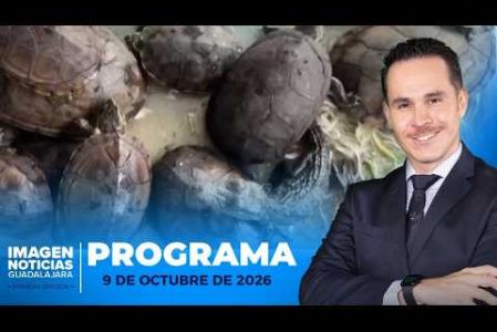 No te pierdas Imagen Noticias Guadalajara con Erick Breguer de lunes a viernes en punto de las 5:50 a.m. en el 3.1 por Imagen Televisión Guadalajara.

#NoticiasImagen

Síguenos en nuestras redes:

Instagram: https://www.instagram.com/imagentvgdl/
TikTok: https://www.tiktok.com/@imagennoticias
Twitter: https://twitter.com/ImagenTVGDL
Facebook: https://www.facebook.com/ImagenTVGDL/
Visita nuestro sitio Web: https://www.imagentv.com/guadalajara

Mantente siempre informado con las noticias sobre los acontecimientos más importantes a nivel nacional con Erick Breguer, Carolina Martínez y Ricardo Camarena.

¡Déjanos tus comentarios, da like, comparte y suscríbete!