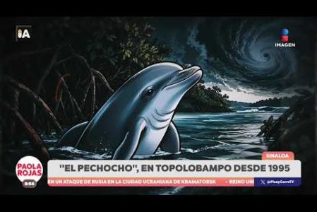 Organizaciones y pobladores advierten sobre el riesgo que representan los procesos de la planta de producción de amoniaco para el hábitat del famoso delfín “El Pechocho” en Topolobampo.