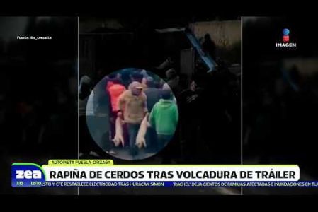 Un tráiler que transportaba cerditos en la Puebla-Orizaba volcó luego de que el conductor perdiera el control de la unidad, provocando una rapiña por parte de los pobladores y automovilistas. 

#NoticiasImagen #LoDijoZea #ImagenNoticias 

Visita nuestro sitio web: http://www.imagentv.com

No te pierdas Imagen Noticias con Francisco Zea de lunes a viernes en punto de las 6:30 am por Imagen Televisión.

TikTok: https://www.tiktok.com/@imagennoticias

Instagram Imagen Noticias con Francisco Zea: https://www.instagram.com/imagenzea 
Instagram: https://www.instagram.com/imagentvnoticias/

X Imagen Noticias con Francisco Zea: https://x.com/imagenZea 
X Noticias: https://twitter.com/ImagenNoticias_
X Televisión: https://twitter.com/ImagenTVMex 
 
Facebook Imagen Noticias con Francisco Zea: https://www.facebook.com/ImagenZea/ 
Facebook: https://www.facebook.com/ImagenTVNoticias
 
Aquí encontrarás la mejor información nacional e internacional de Imagen Noticias con Francisco Zea, Nacho Lozano, Crystal Mendivil, Enrique Sánchez y Paola Rojas.