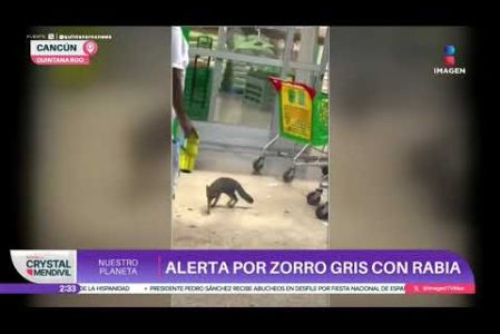 El animal fue sometido a eutanasia.

#NuestroPlaneta
