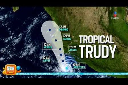 El huracán #Simon se fortaleció a categoría número 2 en el Océano Pacífico. Pese a esto, la Comisión Nacional del Agua informó que permanecerá semiestacionario durante los próximos días.

#NoticiasImagen #ImagenNoticias530 

Visita nuestro sitio web: http://www.imagentv.com

No te pierdas Imagen Noticias 5:30 con Marlene Stahl, Nuria Gil y Adriana Treviño de lunes a viernes por Imagen Televisión.

TikTok 5:30: https://www.tiktok.com/@imagennoticias530 
TikTok Noticias: https://www.tiktok.com/@imagennoticias

Instagram 5:30: https://www.instagram.com/imagennoticias530 
Instagram Noticias: https://www.instagram.com/imagentvnoticias/

X 5:30: https://x.com/imagen530 
X Noticias: https://twitter.com/ImagenNoticias_
X Televisión: https://twitter.com/ImagenTVMex
 
Facebook Noticias: https://www.facebook.com/ImagenTVNoticias
 
Aquí encontrarás la mejor información nacional e internacional de Imagen Noticias con Francisco Zea, Nacho Lozano, Crystal Mendivil, Enrique Sánchez y Paola Rojas.