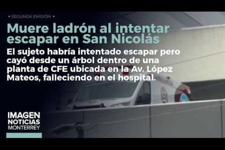 Un presunto ladrón perdió la vida luego de caer desde un árbol al intentar escapar en San Nicolás de los Garza. 

No te pierdas Imagen Noticias Monterrey con Claudia Ovalle de lunes a viernes por Imagen Televisión Monterrey.
 
Síguenos en nuestras redes
Instagram: https://www.instagram.com/imagentvmonterrey/
Twitter: https://twitter.com/ImagenTVMTY
Facebook: https://www.facebook.com/ImagenTVMTY/

Mantente siempre informado con las noticias sobre los acontecimientos más importantes a nivel nacional con Claudia Ovalle y Brenda Cavazos.


¡Dale like y suscríbete!