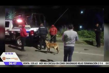 Vecinos de Mayorazgo bloquearon durante aproximadamente 5 horas la Avenida 11 Sur, luego de que una habitante reportara un presunto rapto; además de que aseguró haber escuchado los gritos de auxilio de una jóven en la zona.

#NoticiasPuebla #Puebla #JuanCarlosValerioNoticias