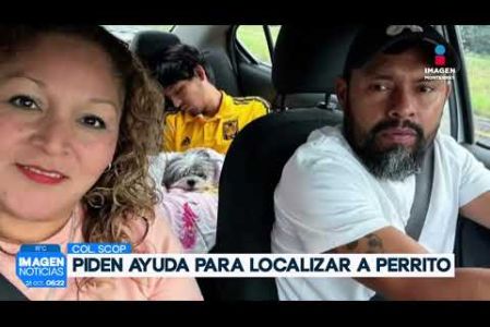 Una perrito con enfermedad en el oído se escapó en Guadalupe. 

No te pierdas Imagen Noticias Monterrey con Brenda Cavazos de lunes a viernes por Imagen Televisión Monterrey.

Síguenos en nuestras redes
Instagram: https://www.instagram.com/imagentvmonterrey/
Twitter: https://twitter.com/ImagenTVMTY
Facebook: https://www.facebook.com/ImagenTVMTY/

Mantente siempre informado con las noticias sobre los acontecimientos más importantes a nivel nacional con Claudia Ovalle y Brenda Cavazos.


¡Dale like y suscríbete!