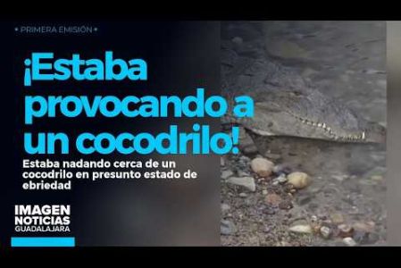 Un hombre en presunto estado de ebriedad fue captado ingresando al cauce de un río en #PuertoVallarta a plena luz del día para nadar cerca de un enorme cocodrilo y provocarlo de manera deliberada.

#NoticiasImagen

Síguenos en nuestras redes:

Instagram: https://www.instagram.com/imagentvgdl/
TikTok: https://www.tiktok.com/@imagennoticias
Twitter: https://twitter.com/ImagenTVGDL
Facebook: https://www.facebook.com/ImagenTVGDL/
Visita nuestro sitio Web: https://www.imagentv.com/guadalajara

Mantente siempre informado con las noticias sobre los acontecimientos más importantes a nivel nacional con Erick Breguer.

¡Déjanos tus comentarios, da like, comparte y suscríbete!