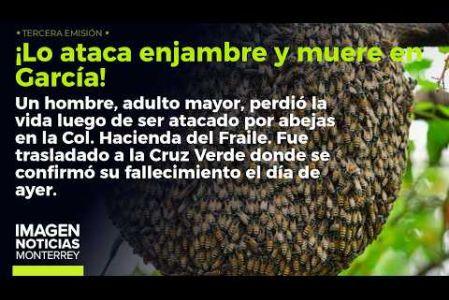 Un enjambre atacó y mató a un hombre en García. 

No te pierdas Imagen Noticias #Monterrey con #BrisseidaMoya de lunes a viernes por Imagen Televisión Monterrey.

Síguenos en nuestras redes
Instagram: https://www.instagram.com/imagentvmonterrey/
Twitter: https://twitter.com/ImagenTVMTY
Facebook: https://www.facebook.com/ImagenTVMTY/

Mantente siempre informado con las noticias sobre los acontecimientos más importantes a nivel nacional con Claudia Ovalle y Brenda Cavazos.


¡Dale like y suscríbete!