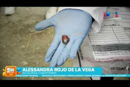 Al menos cinco perros sufrieron envenenamiento el martes tras ingerir una de estas pastillas color azul dentro de pedazos de embutido en Parque España de la Col. Condesa, tres de ellos fallecieron el mismo día y dos más siguen internados en un hospital veterinario.   

#NoticiasImagen #ImagenNoticias530 

Visita nuestro sitio web: http://www.imagentv.com

No te pierdas Imagen Noticias 5:30 con Marlene Stahl, Nuria Gil y Adriana Treviño de lunes a viernes por Imagen Televisión.

TikTok 5:30: https://www.tiktok.com/@imagennoticias530 
TikTok Noticias: https://www.tiktok.com/@imagennoticias

Instagram 5:30: https://www.instagram.com/imagennoticias530 
Instagram Noticias: https://www.instagram.com/imagentvnoticias/

X 5:30: https://x.com/imagen530 
X Noticias: https://twitter.com/ImagenNoticias_
X Televisión: https://twitter.com/ImagenTVMex
 
Facebook Noticias: https://www.facebook.com/ImagenTVNoticias
 
Aquí encontrarás la mejor información nacional e internacional de Imagen Noticias con Francisco Zea, Nacho Lozano, Crystal Mendivil, Enrique Sánchez y Paola Rojas.