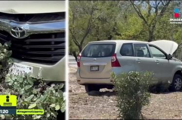 Conductora impacta su camioneta contra un árbol tras falla