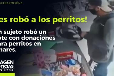 ¡Roba bote de donaciones para perritos en Linares!