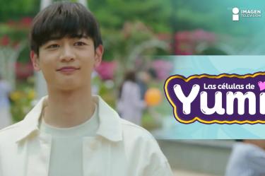 E2 Las Células de Yumi | ¿Amor correspondido?