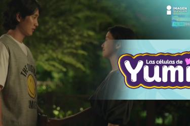 E5 Las Células de Yumi | ¿Miedo a perderte?