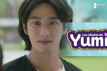 E7 Las Células de Yumi | Célula racional