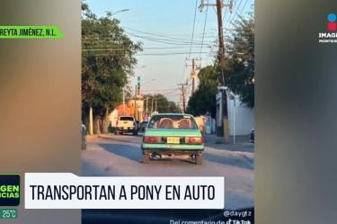 Captan a pony en un auto en Cadereyta