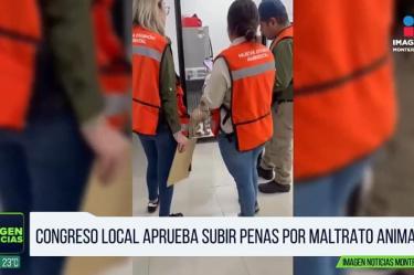 Endurecen sanciones por maltrato animal en Nuevo León