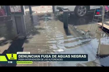 Vecinos y comerciantes de la colonia Las Conchas, en Guadalajara, padecen una fuga de aguas negras desde hace más de un mes. Aseguran que el problema ha sido reportado al SIAPA en varias ocasiones.